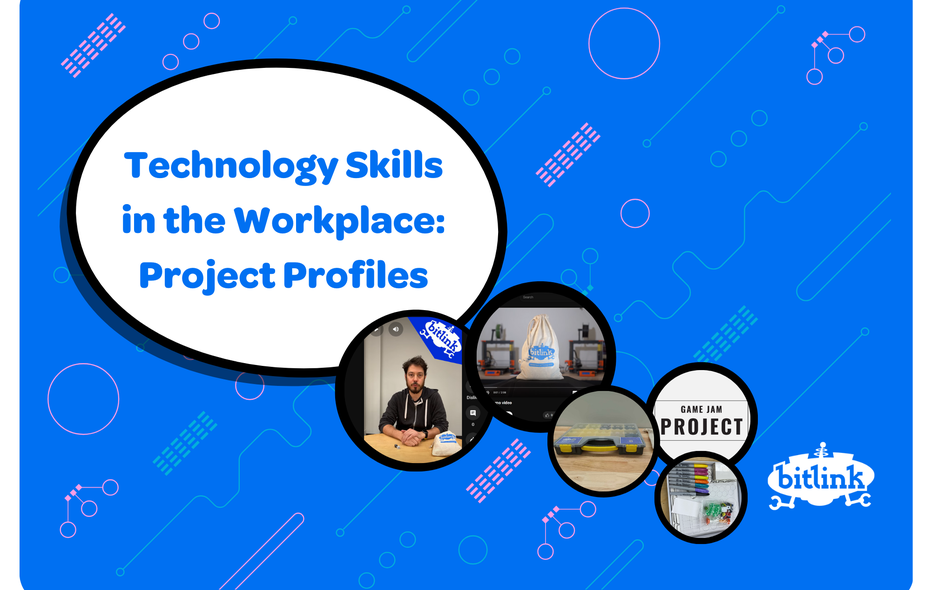 TSIW Project Profiles (1)